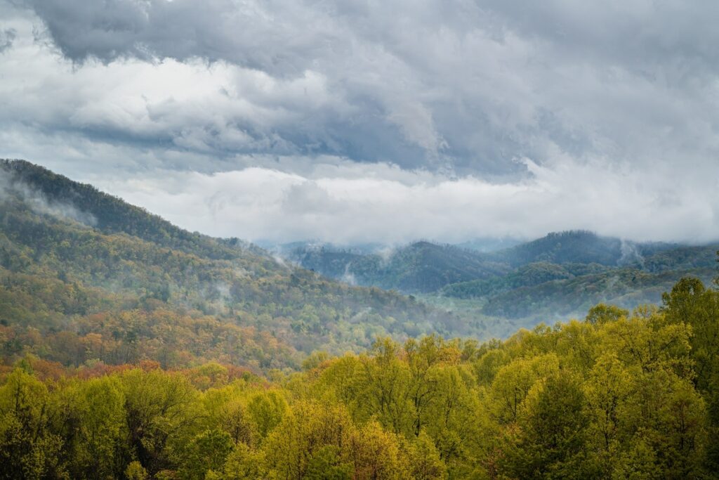 Great Smoky Mountains National Park